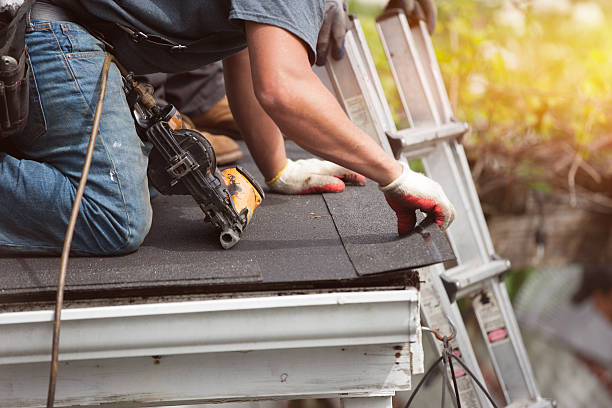 Best Metal Roofing Contractor  in Frankfort, IN
