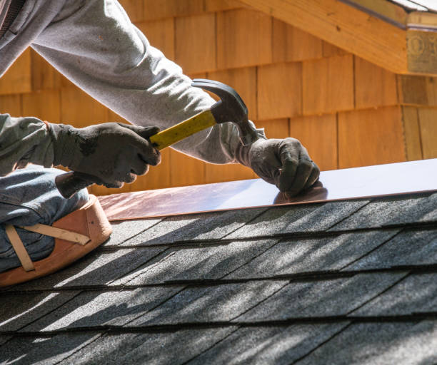 Best Roof Gutter Cleaning  in Frankfort, IN